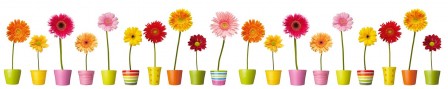 fleurs-et-pots-colores_1.jpg